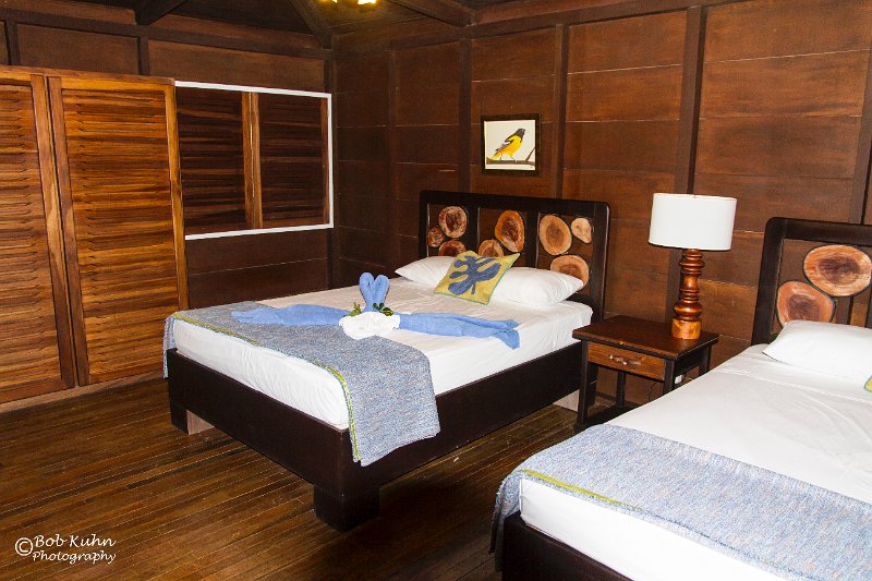 IMG_6138-2-Chachagua Rainforest Hotel.jpg